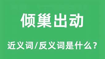 倾巢出动的意思_倾巢出动的意思是