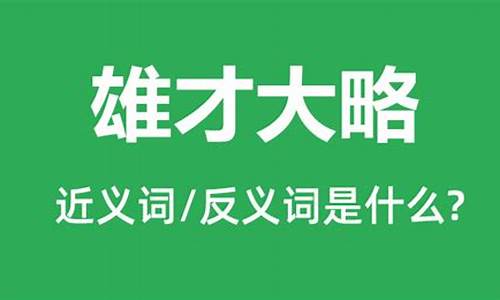 雄才大略是什么意思_雄才大略是什么意思打