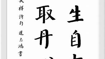 留取丹心照汗青_留取丹心照汗青的汗青什么意思