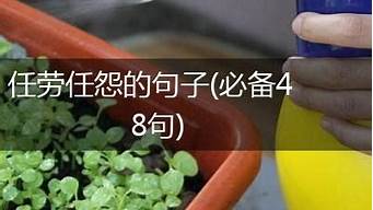 任劳任怨_任劳任怨的意思