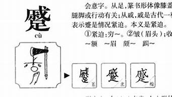 蹙怎么读_蹙怎么读音是什么意思