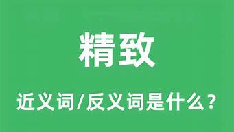 精致的反义词是什么_精致的反义词是什么词