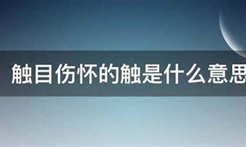 触目伤怀的怀什么意思_触目伤怀的怀是什么意思